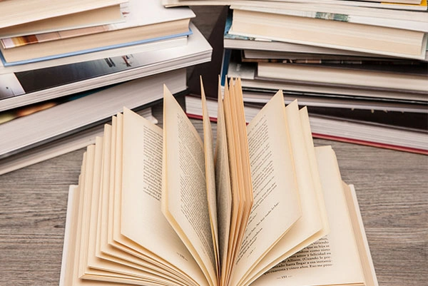 Adherence to Formatting Standards